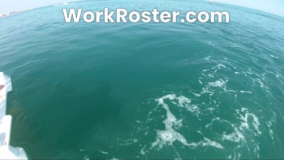 Roster Software for Leisure Companies Video Screenshot